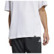 Adidas Ανδρική κοντομάνικη μπλούζα Lounge Slide Graphic Tee Adidas Ανδρική κοντομάνικη μπλούζα Lounge Slide Graphic Tee